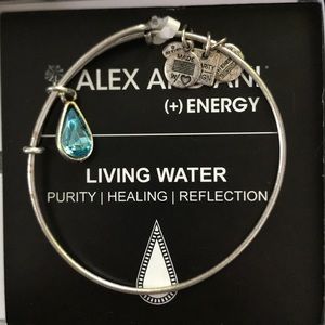NWT Alex and Ani Bracelet